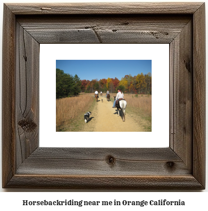 horseback riding near me in Orange, California